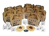 10 Pet Rock Mini Style Party Favors Silly Gag Gifts