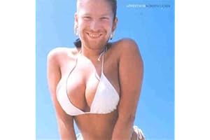 Windowlicker (Vinyl)