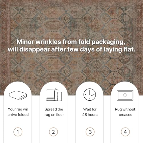 BEIMO Vintage Salon Rug, Room Rugs, Essential Living Room Rug, Non-Slip Washable, Large Persian Rugs for Living Room, Red Brick Color, 200 x 290 cm