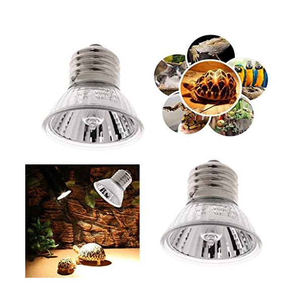 2 Pz 75W Lampada di Basking del Calore Lampade Riscaldante Alogena UVA UVB per Rettilari Animali Domestici Marca: perfk 2 Pz 75W Lampada di Basking del Calore Lampade Riscaldante Alogena UVA UVB per Rettilari Animali Domestici