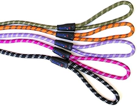 amazon dog slip leads