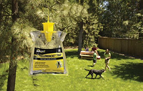 RESCUE! Non-Toxic Disposable Yellowjacket Trap, West of the Rockies