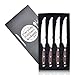 Everyday Kitchen Gadgets-Steak Knife Set- Stainless Steel-Straight Edge-Pakkawood Handle