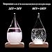 Amymami Storm Glass Weather Predictor, Creative Stylish Weather Station Forecaster Storm Glass Bottles Barometer with Wood Base, Desktop Drops Decoration Crafts Conversation Piece