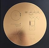 Voyager 1 and 2 Golden Record Replica - The Green Head