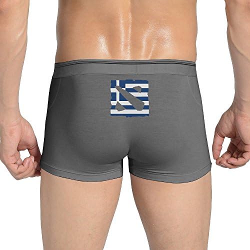 Men's Blue &amp; White Dota 2 Logo Boxer Brief Classical Underwear Ash L