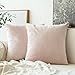 MIULEE Pack of 2 Pink Velvet Throw Pillow Covers 18x18 Inch Soft Solid Decorative Square Set Cushion Cases for Spring Couch Sofa Bedroom