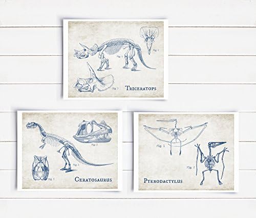Prehistoric Fossil Dinosaur Skeleton Art Unframed Paper Print (set of 3)