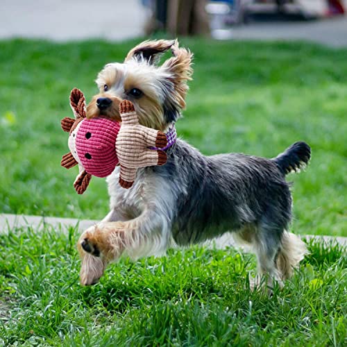 Toozey Dog Toy - 7 Durable Toys for Puppies and Small Dogs - Non-Toxic Natural Cotton Plush