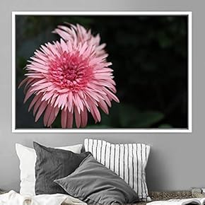 signwin Framed Canvas Wall Art Flora Snapshot Closeup...