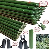 F.O.T Sturdy Metal Garden Stakes 25Pcs Gardening Support 2 Ft Plastic Coated Plant Sticks,Plant Cage Supports Climbing for Tomatoes,Trees,Cucumber,Fences,Beans,Vegetable Trellis(Climbing Frame)