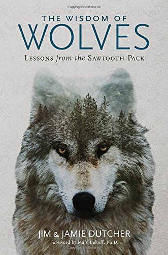 The Wisdom of Wolves: Lessons from the Sawtooth Pack