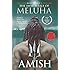 The Immortals of Meluha (Shiva Trilogy)