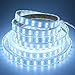 LEDENET Double Row DC 24V 600LEDs/spool 5m RGB+Cold White (6500k-7000K) 5050 SMD Waterproof RGBW LED strip lights in silicone sleeving IP67 for Wedding Party Holiday Outdoor LED Lighting