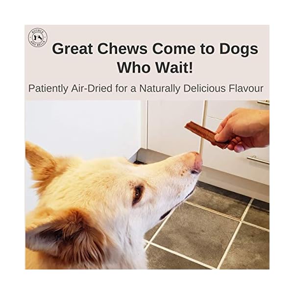 Bounce-and-Bella-Natural-Dog-Chews--100-Pure-Beef-Air-Dried-Treats-for-Dogs--Just-One-Ingredient-Deliciously-Healthy-Crunchy-Dog-Chew-for-your-Dog-or-Puppy-100g-per-pack Bounce and Bella Natural Dog Chews – 100% Pure Beef Air-Dried Treats – Natural Dog Treats Just One Ingredient…