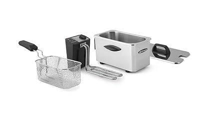 Orbegozo FDR 25-Freidora Profesional, 2000 W, 2,5 l, 2.5 kg, Acero Inoxidable