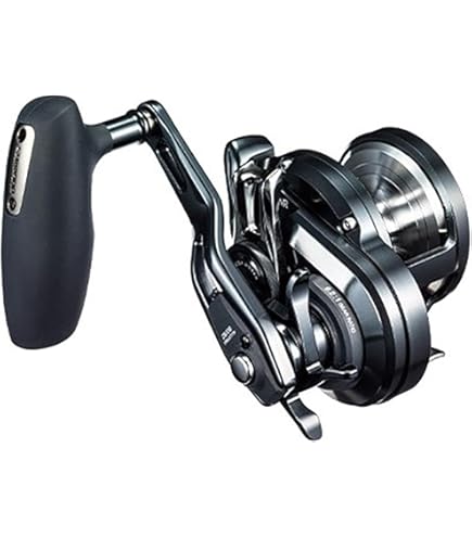 Shimano Bait Reel, Double Axis, Oshiajiger, F Custom 2000NRHG (Right) Amberjack Tuna : Sports & Outdoors