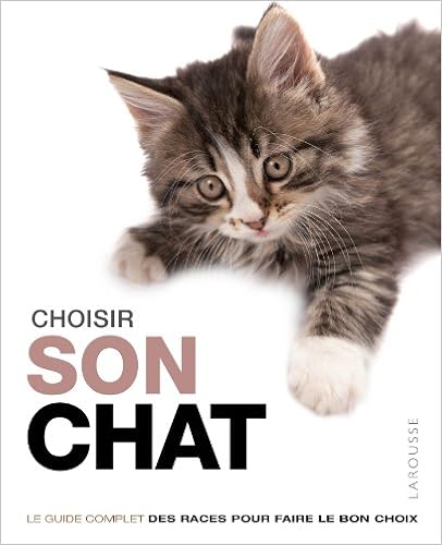choisir-son-chat