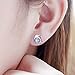 S925 Sterling Silver Ocean Blue Cubic Zirconia Dolphin Stud Earrings for Women