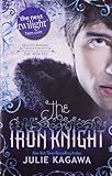 The Iron Knight (Iron Fey)