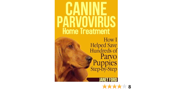 parvovirus treatment