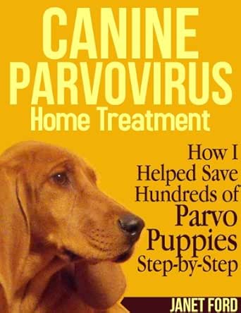 canine parvovirus treatment