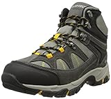 Hi-Tec Men's Altitude Lite I Waterproof Hiking Boot, Charcoal/Warm Grey/Gold,10.5 M US