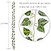 HAPOWELL Artificial Ivy, Galanga Plant Leaves, 12 Strands of 87-Foot Artificial Galanga Green Fake Ivy Leaves, Hanging Room, Flower Office Wedding Party Wall Outdoor Decoration