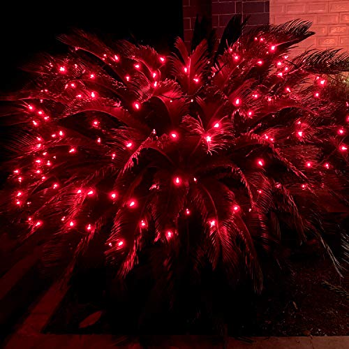 200 Red Christmas Lights, Commercial Grade LED Seasonal and Decorative