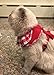 Checkered Frills Fashion Puppy Harness for Pets Dog & Cat, Red Small
