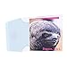 Hallmark Studio Ink Birthday Card, Anniversary Card (Sloth) (0299RZJ5024)