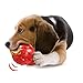 Nylabone Treatin' Cone Strong Stuffable Chew Toy for Dogs, Natural Rubber Fillable Treat Toy, Treat Dispensing Dog Toy, Bacon Flavor, Small Dogs - Up to 25 Ibs, 1 Count