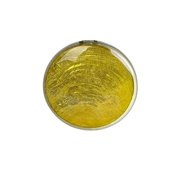 Amazon Com Yyc Set Of 2 Simple Fashion Shell Magnetic Curtain