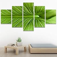 5 Panel Canvas Wall Art Green Leaves Closeup Pictures Modern Artwork for Home Decorations Ready to Hang - 60