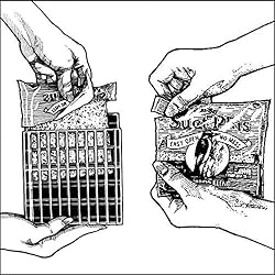 Suet Plus Bird Suet Cake 12 Pack of 11 oz Suet