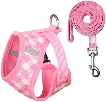 Petetpet Puppy Harness and Leash Breathable Adjustable Harness Set for Cat Small Dogs Pets Walking Training Running Hiking (S, Pink)
