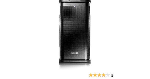 Amazon.com: Line 6 StageSource L2m 2 