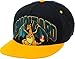 BIOWORLD Pokemon Charizard Snapback Cap