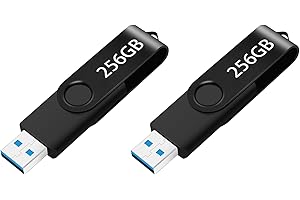 2-Pack USB Flash Drive 256GB, Portable Thumb Drive: Memory Stick 256GB, Large Capacity USB Drive with Keychain, High-Speed US