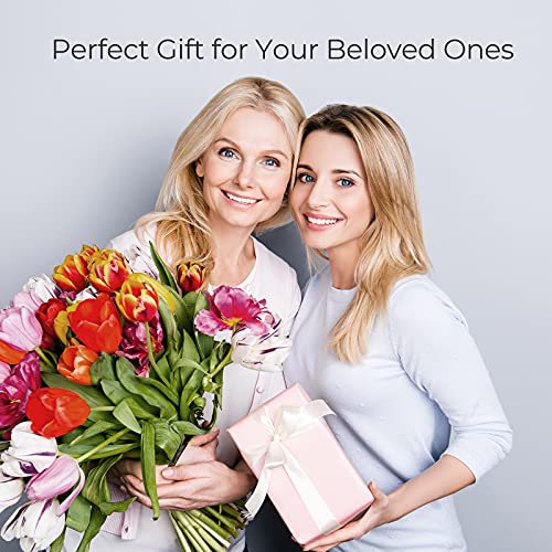 Willing Laminator Machine with Laminating Sheets for A4/A6, Update Never Jam Technology, Hot&Cold, with 20 Laminating Pouches/Trimmer/Corner Rounder for Home/School/Office/Craft/Card - 9in