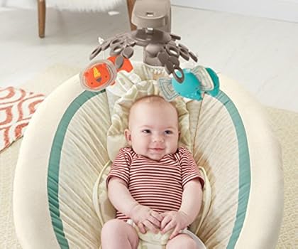 fisher price soothing savanna deluxe bouncer