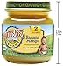 Earth's Best Organic Stage 2 Baby Food, Banana Mango, 4 oz. Jar