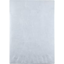 Amazon.com : Quality Park Survivor 13 x 19 Catalog Mailers