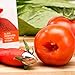 Strawberry Huller Stem Remover, Easy-Release Strawberry Top Leaf Remover Tool and Stainless Tomato Corer, Tomato stem remover, Best Kitchen Gadget BY Dvcline