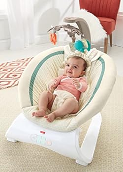 fisher price soothing savanna deluxe bouncer