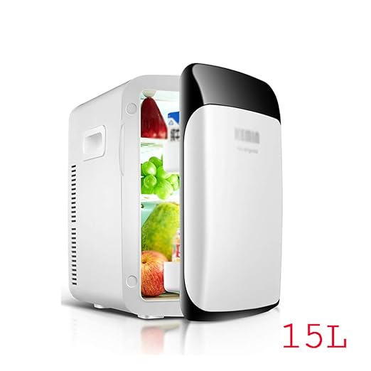 Mini Nevera PortáTil De 15 L Refrigerador PequeñO De Una Puerta ...