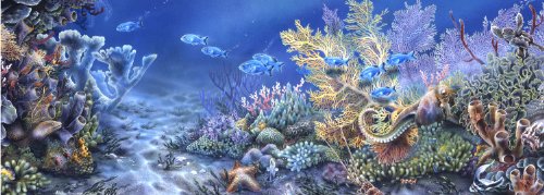Andrews + Blaine Coral Reef Panoramic Puzzle, 1000-Piece