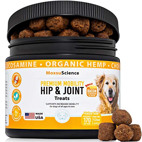 pethonesty hemp mobility snacks