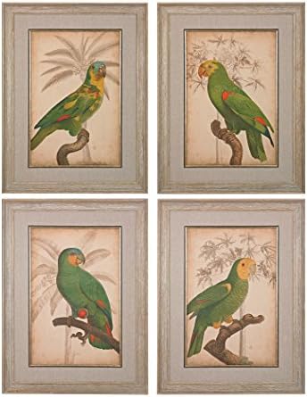 スターリングオウムとpalm I Ii Iii Iv壁アート 4のセット 151 018 Size S4 One 卓出