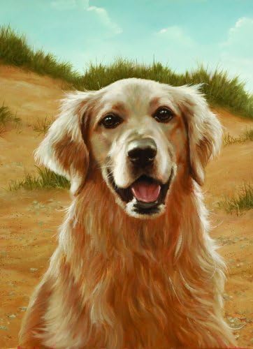 silver golden retriever